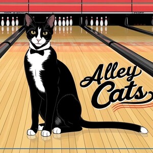 Team Page: Alley Cats